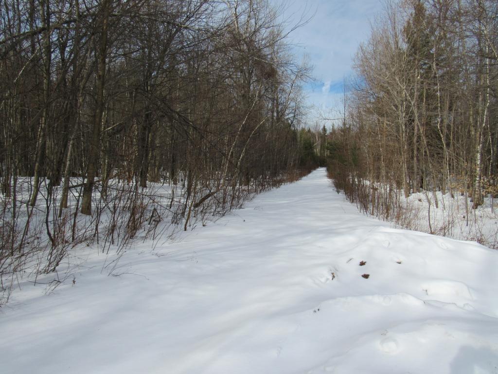 Lot 7 Gendron Road Jay, VT 05859 - Photo 4 of 11 Gallery Image 4