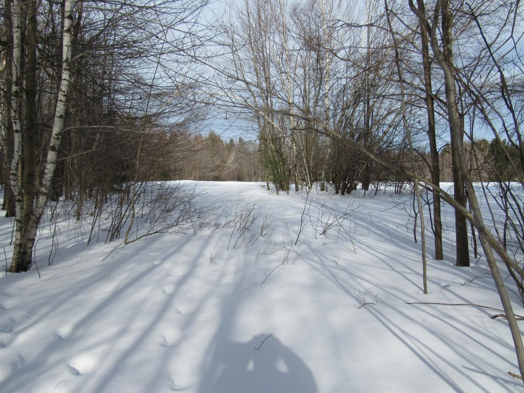 Lot 7 Gendron Road Jay, VT 05859 - Photo 5 of 11 Gallery Image 5