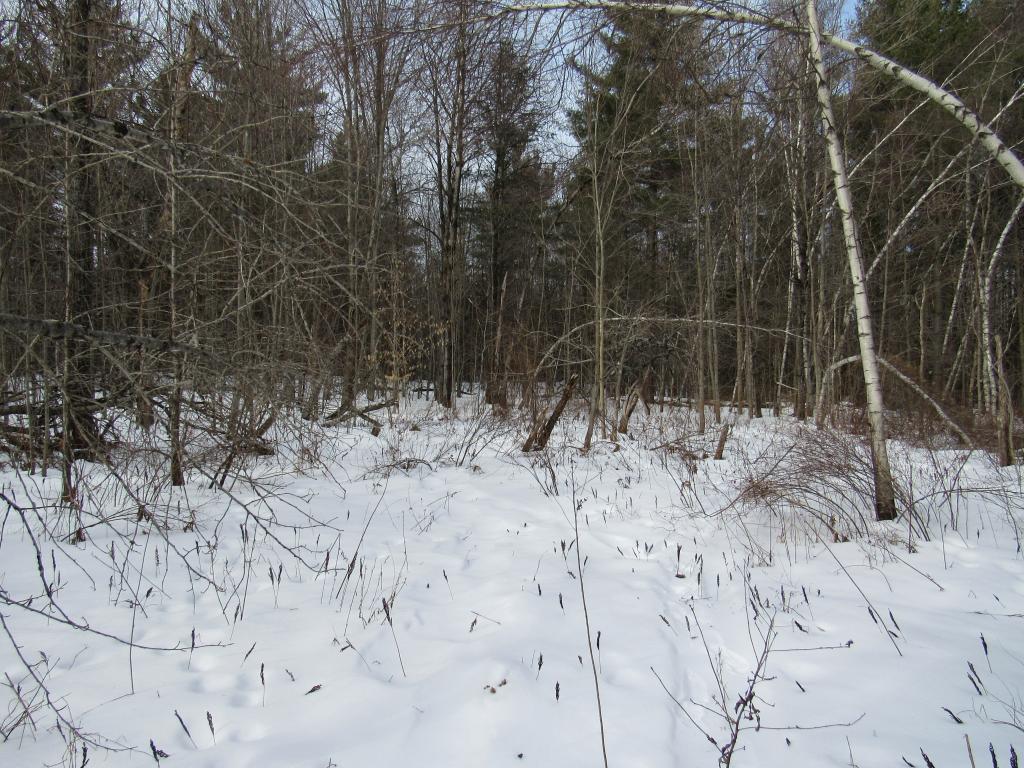 Lot 7 Gendron Road Jay, VT 05859 - Photo 7 of 11 Gallery Image 7