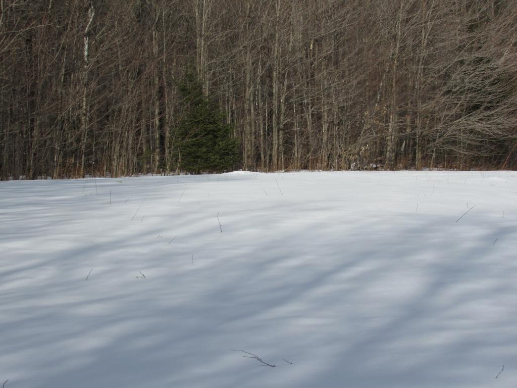 Lot 7 Gendron Road Jay, VT 05859 - Photo 8 of 11 Gallery Image 8