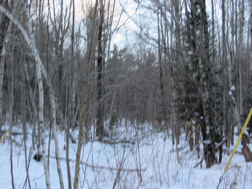 Lot 7 Gendron Road Jay, VT 05859 - Photo 9 of 11 Gallery Image 9