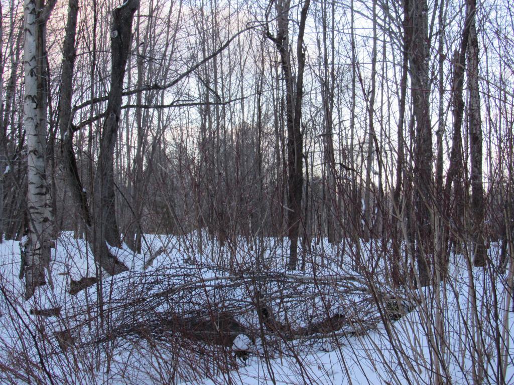 Lot 7 Gendron Road Jay, VT 05859 - Photo 10 of 11 Gallery Image 10