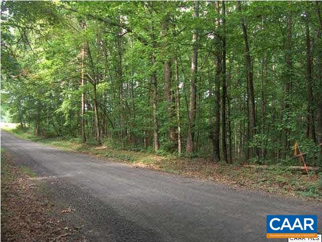Tussing Lane Rochelle, VA 22738 - Photo 1 of 4 a view of a forest with trees in the background