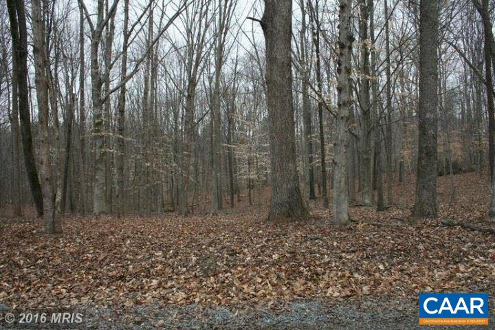 Tussing Lane Rochelle, VA 22738 - Photo 3 of 4 a view of outdoor space with green space