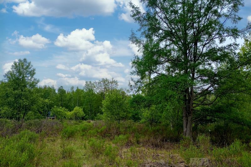 58-acres Northeast County Line Road Coleman, MI 48618 - Photo 31 of 45