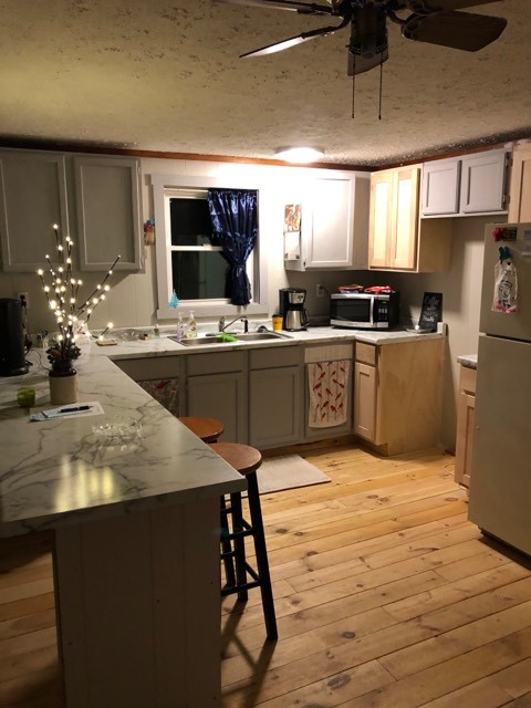 494 Russell Road Red Boiling Springs, TN 37150 - Photo 2 of 8