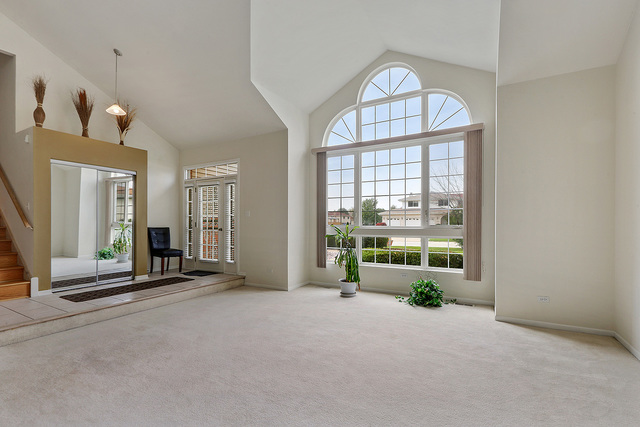 217 Churn Road Matteson, IL 60443 - Photo 3 of 12