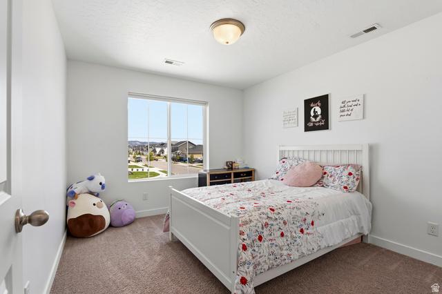 1208 Coachline Way Eagle Mountain, UT 84005 - Photo 27 of 48