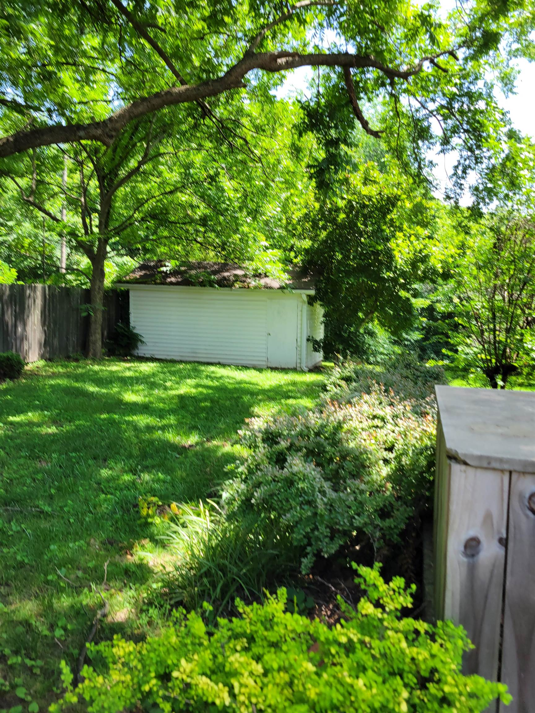 1572 Asbury Glimp Road Ripley, TN 38063 - Photo 7 of 20 a backyard of a house with lots of green space and fountain