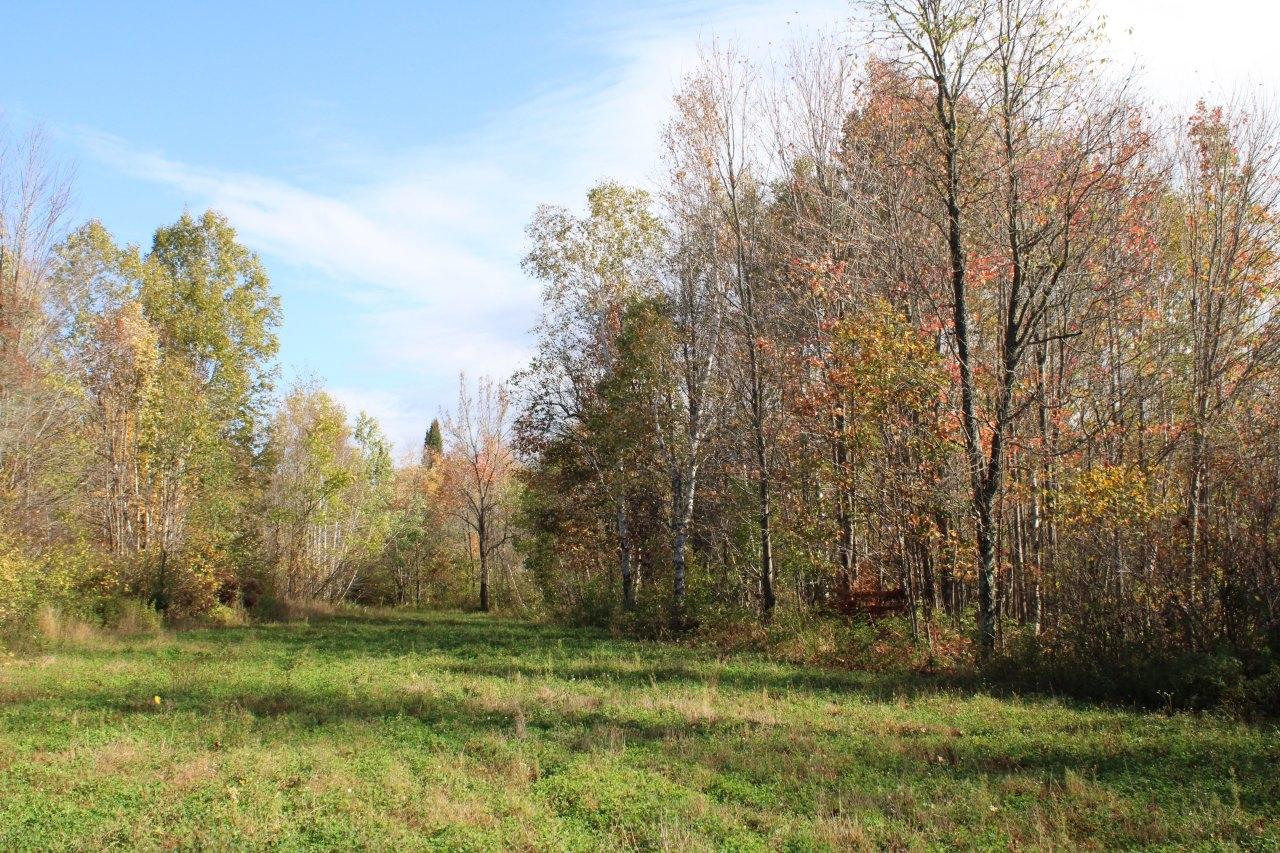 Off Warren Road Fifield, WI 54524 - Photo 21 of 28 Gallery Image 21