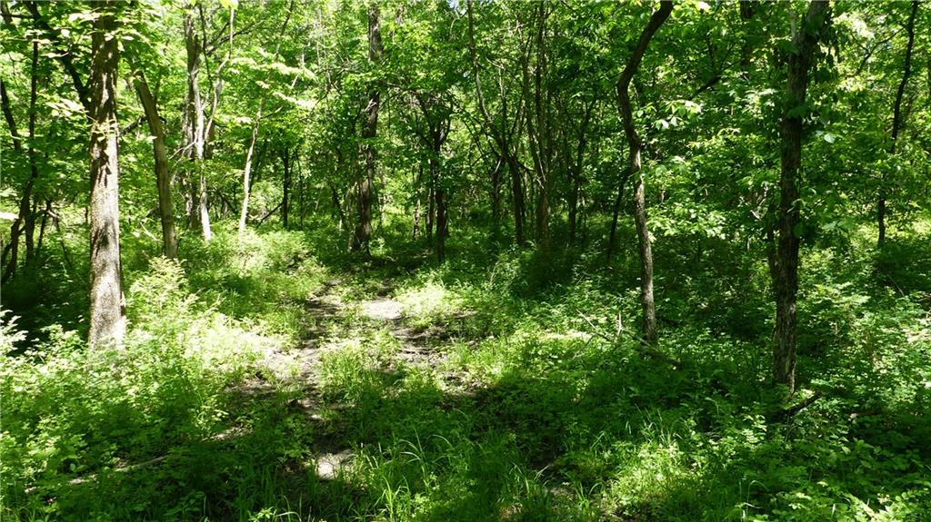 13003 South Outer Belt Road Lone Jack, MO 64070 - Photo 37 of 50