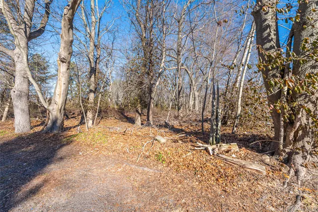 a view of a yard covered with snow in front of house