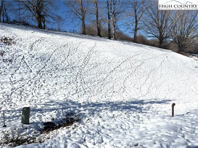 a view of backyard and tree