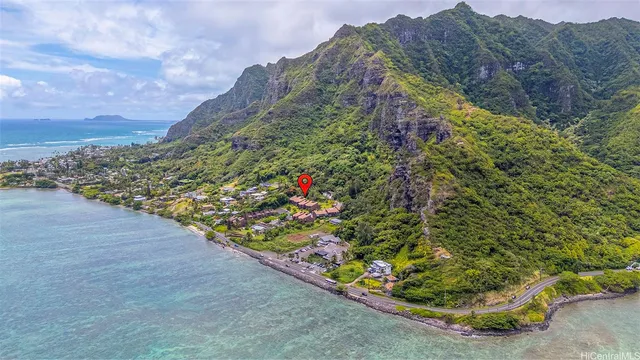 a view of a garden with a pathway