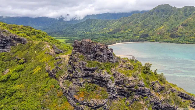 a view of a lake with a mountain
