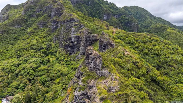 a view of a large yard with lots of bushes
