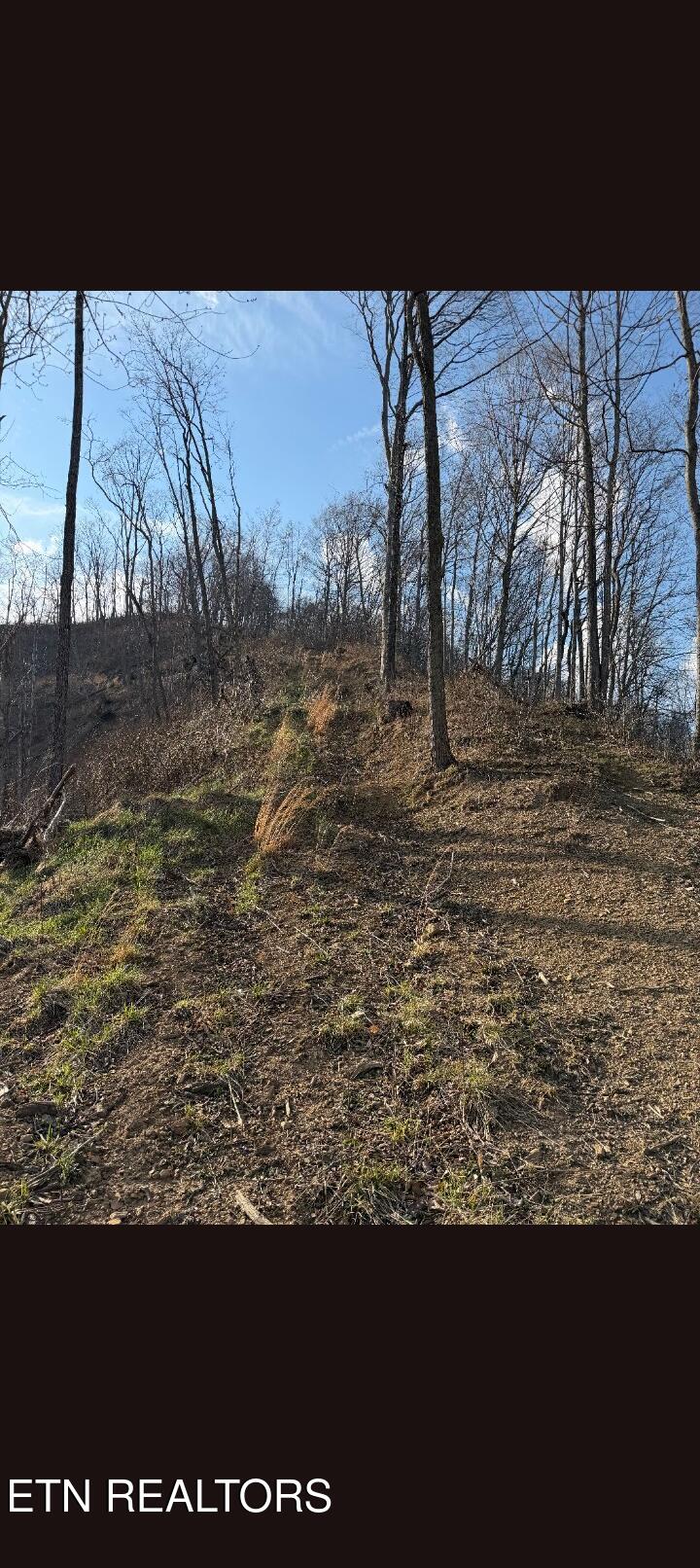 100 Knot Hole Left Road Arjay, KY 40902 - Photo 11 of 14 6184394616756293772