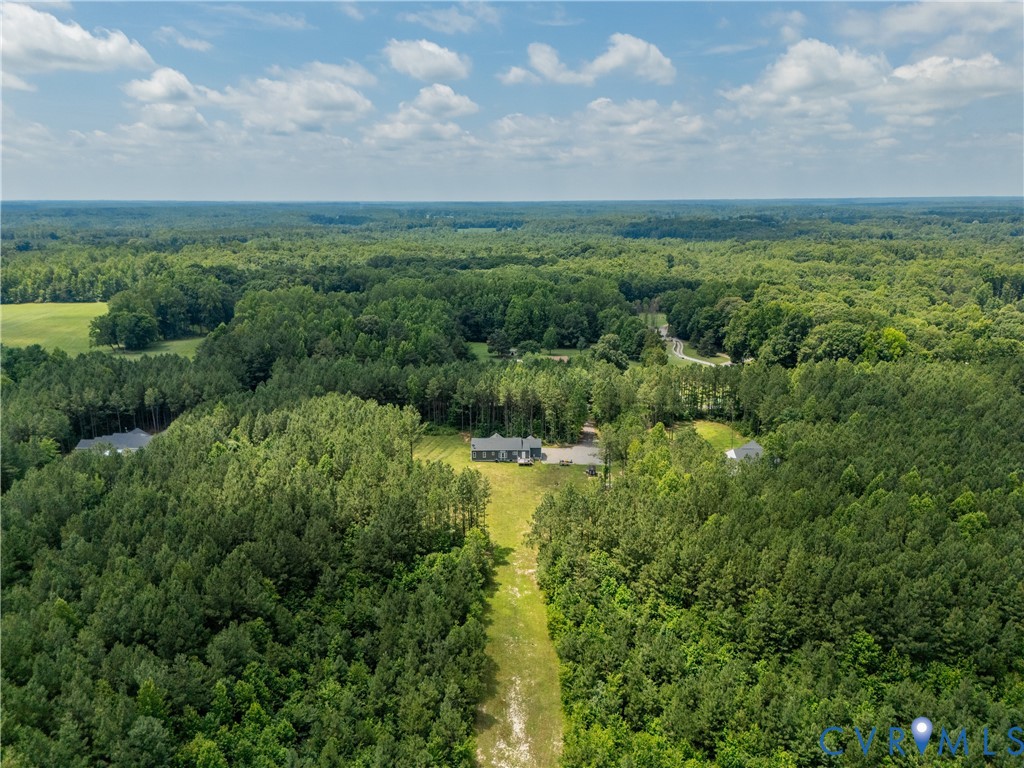 16390 Tyler Station Road Beaverdam, VA 23015 - Photo 35 of 46