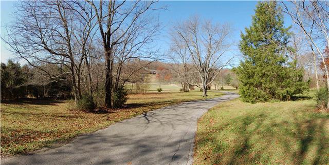 1082 Rip Steele Road Columbia, TN 38401 - Photo 19 of 20 View of Front Yard toward Rip Steele Road