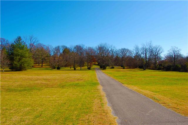 1082 Rip Steele Road Columbia, TN 38401 - Photo 20 of 20 View of Front Yard from Rip Steele Road