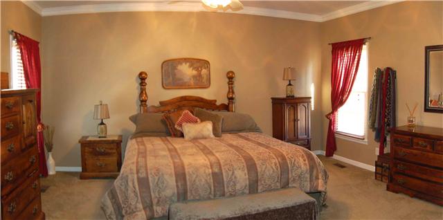 1082 Rip Steele Road Columbia, TN 38401 - Photo 10 of 20 Downstairs Master Suite