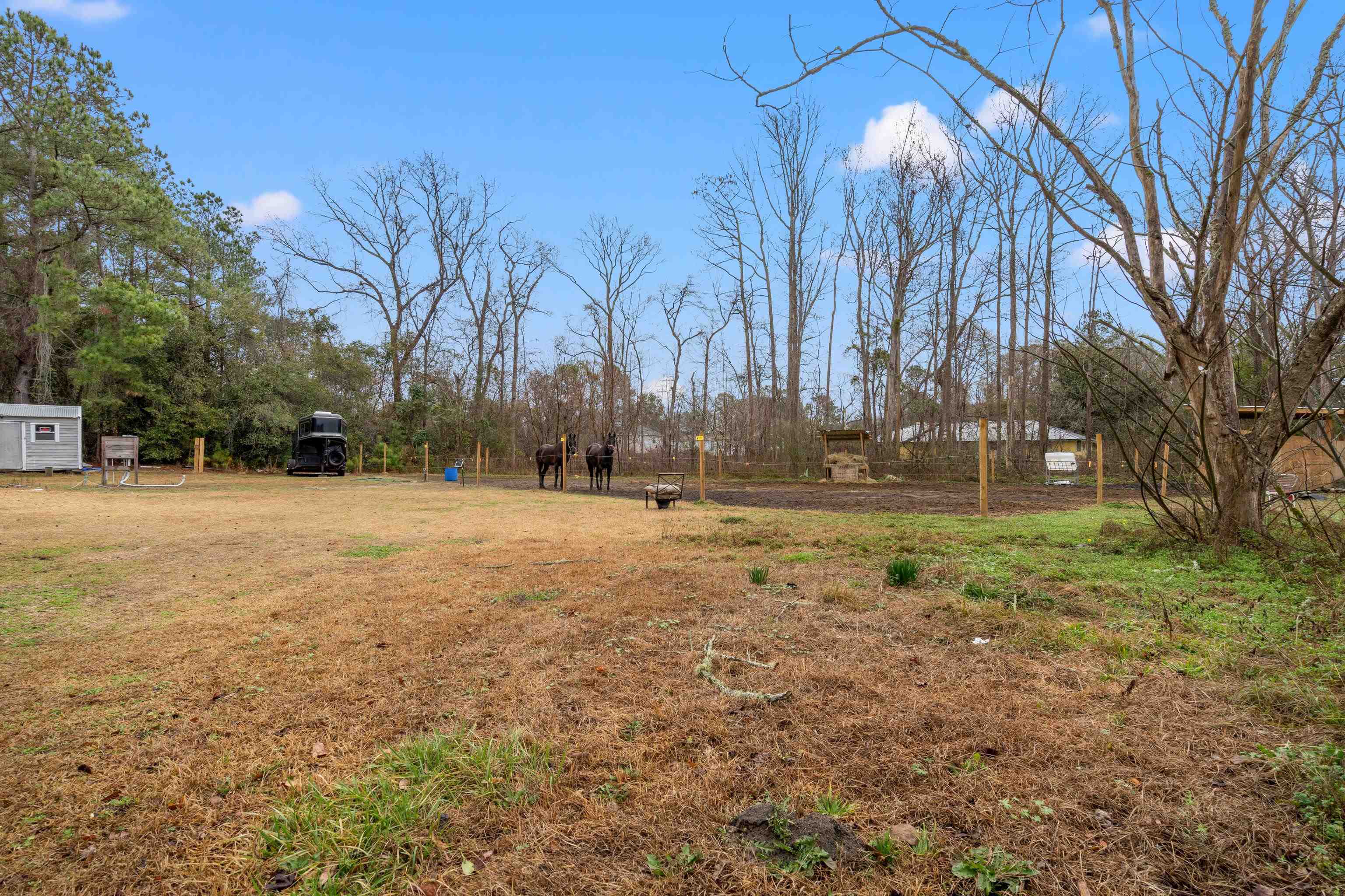 898 Pint Circle Longs, SC 29568 - Photo 3 of 16