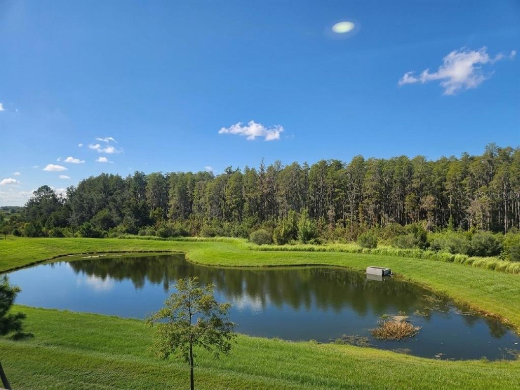 32181 Turtle Grace Loop Wesley Chapel, FL 33545 - Photo 37 of 37 Gallery Image 37