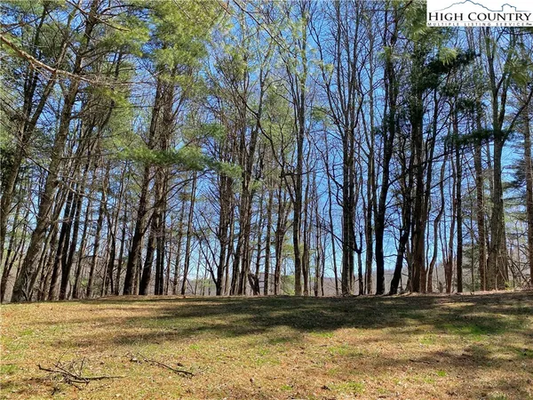 $125,000 | 30 R Valle Cay Drive, Vilas, NC 28692