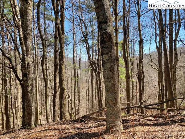 $125,000 | 30 R Valle Cay Drive, Vilas, NC 28692