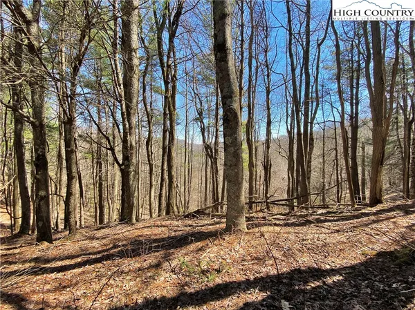 $125,000 | 30 R Valle Cay Drive, Vilas, NC 28692
