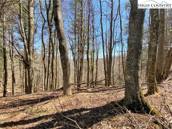 $125,000 | 30 R Valle Cay Drive, Vilas, NC 28692