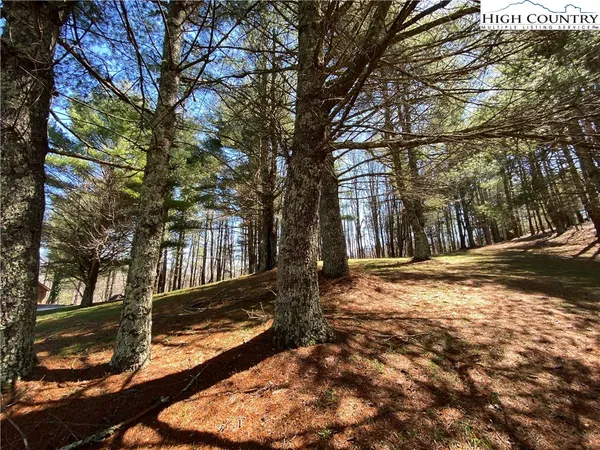 $125,000 | 30 R Valle Cay Drive, Vilas, NC 28692