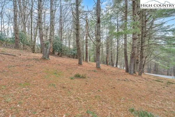 $125,000 | 30 R Valle Cay Drive, Vilas, NC 28692