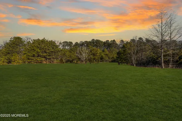 a view of a grassy field with trees