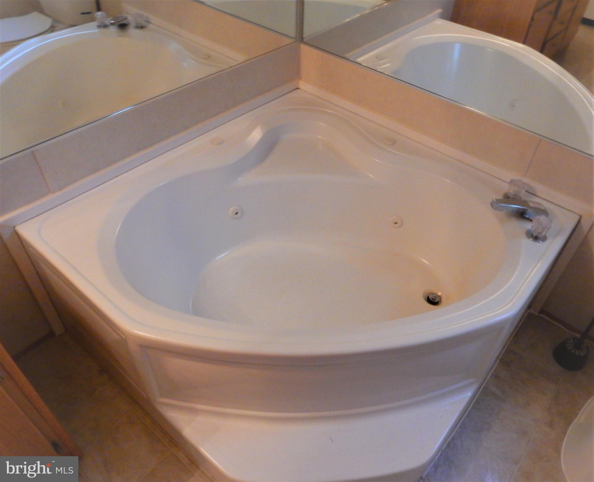 7810 Clark Road Jessup, MD 20794 - Photo 13 of 28 Corner Garden Soaking Tub