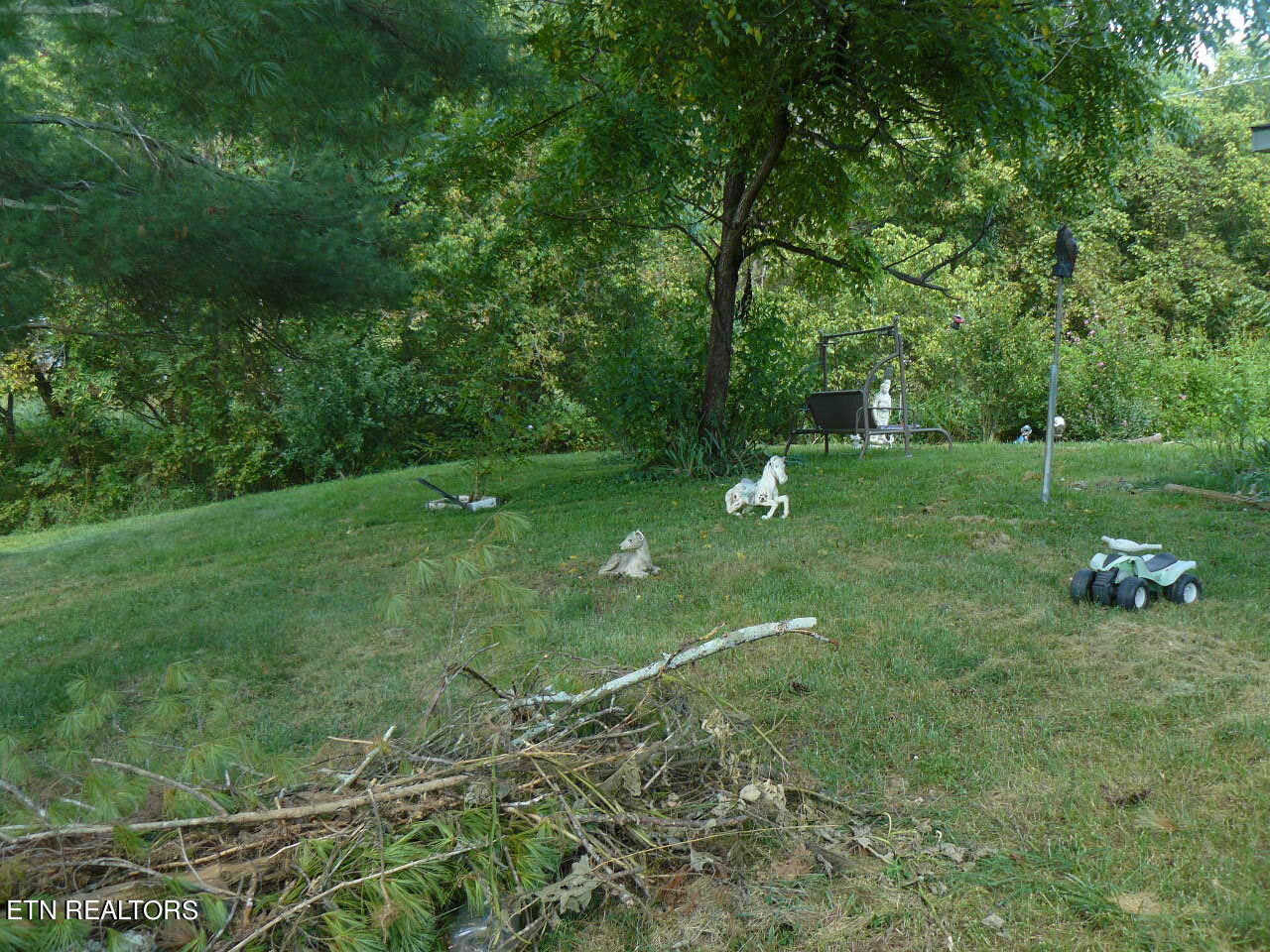 653 Leadmine Bend Road Sharps Chapel, TN 37866 - Photo 8 of 19 P1430040