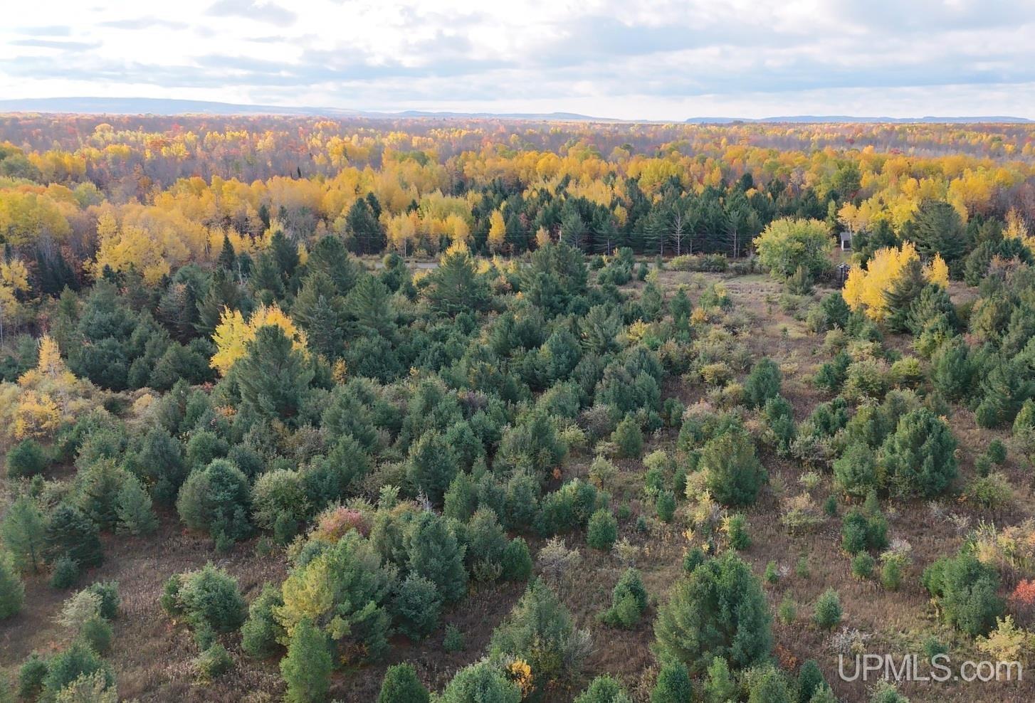 Tbdc20 South Firesteel Road Ontonagon, MI 49953 - Photo 7 of 11