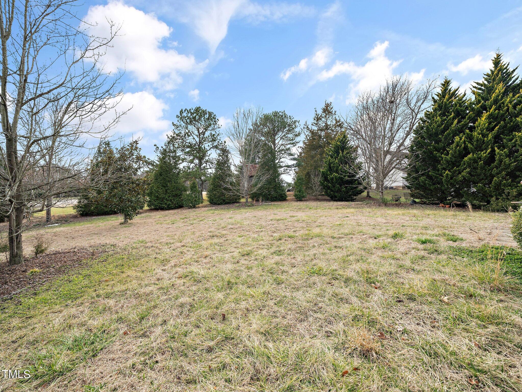 310 Hope Valley Road Knightdale, NC 27545 - Photo 23 of 31 backyard