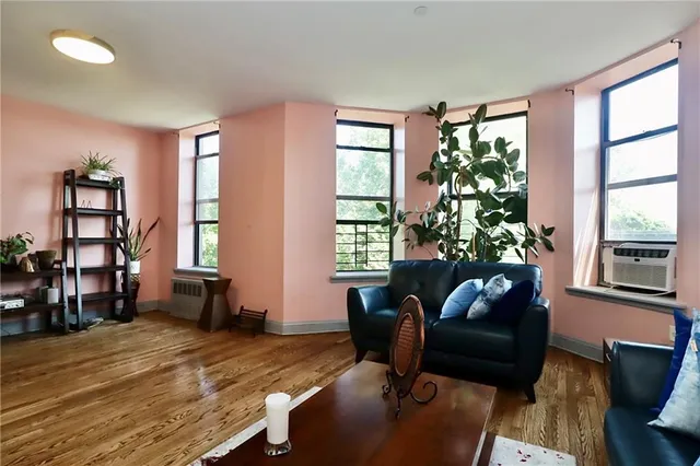 a living room with furniture and a potted plant