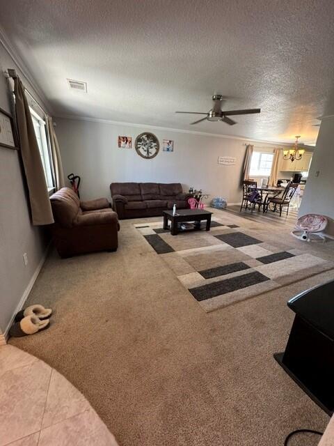 606 Southwest 6th Street Seminole, TX 79360 - Photo 5 of 31 Gallery Image 5