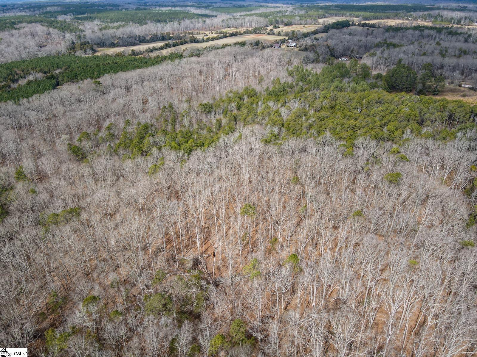 0 Porter Road Ware Shoals, SC 29692 - Photo 2 of 6