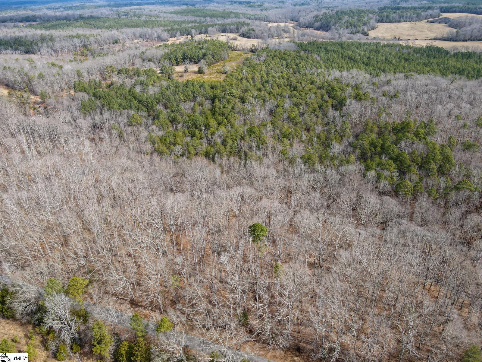 0 Porter Road Ware Shoals, SC 29692 - Photo 3 of 6