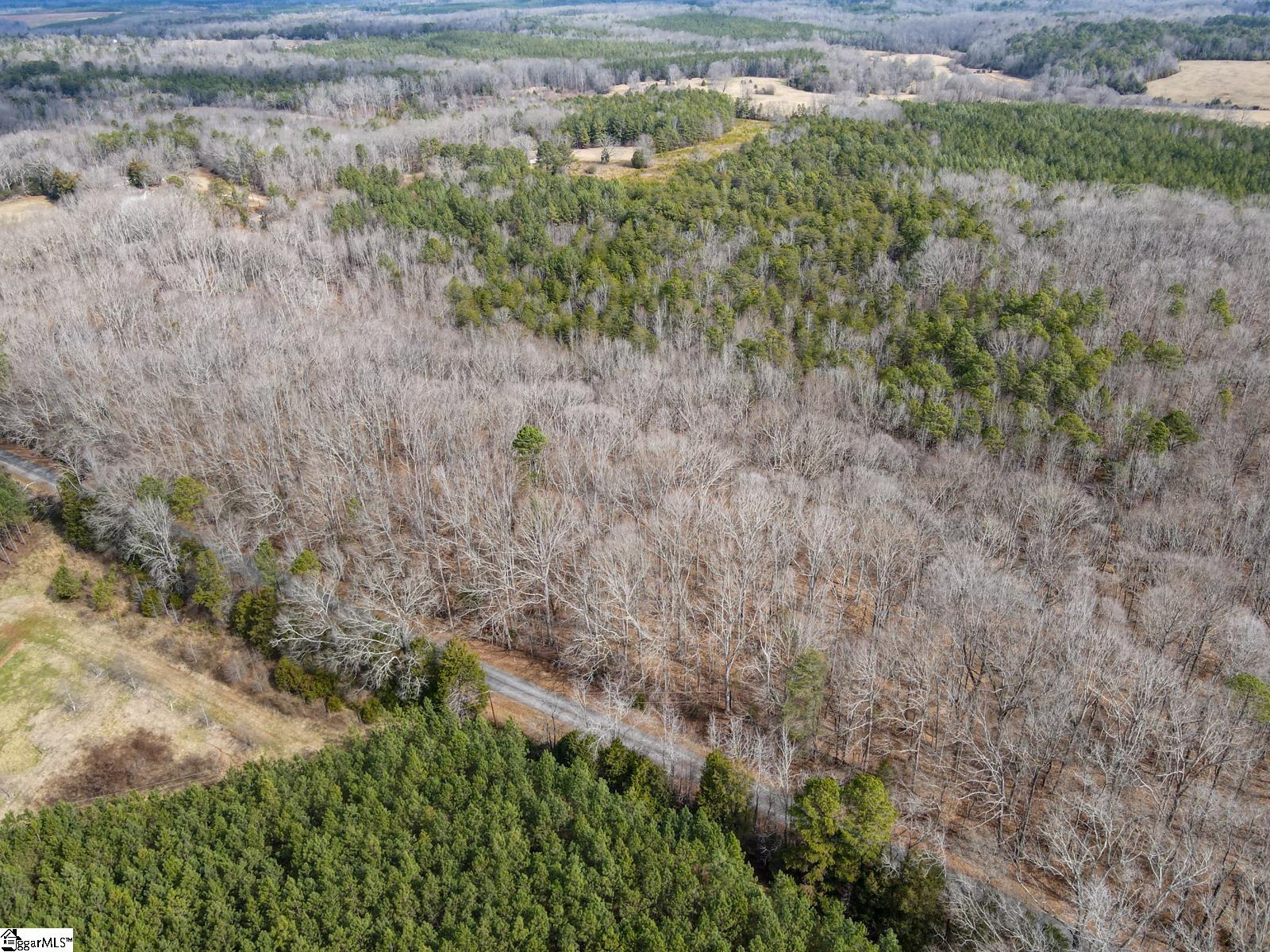 0 Porter Road Ware Shoals, SC 29692 - Photo 4 of 6