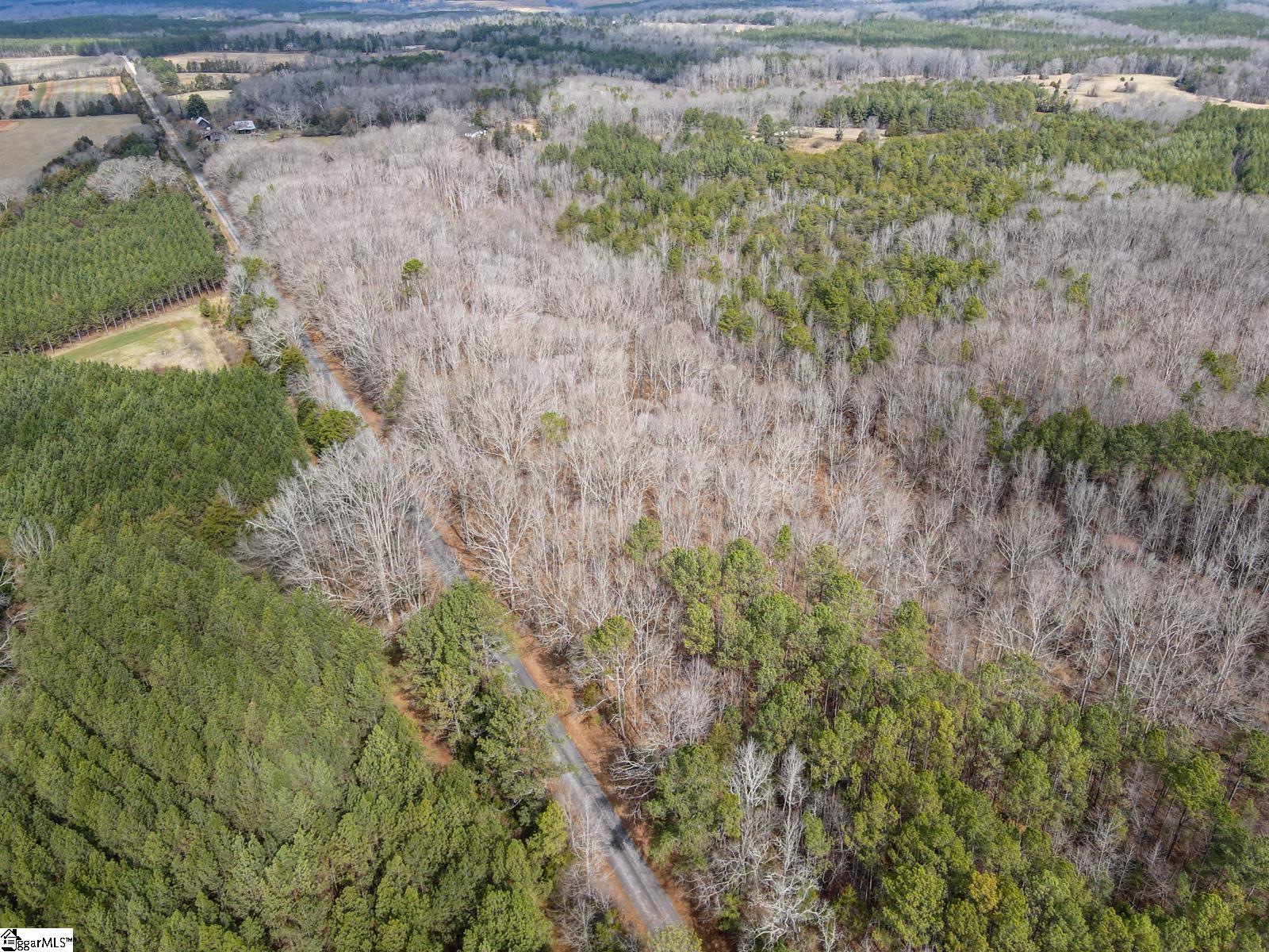 0 Porter Road Ware Shoals, SC 29692 - Photo 5 of 6