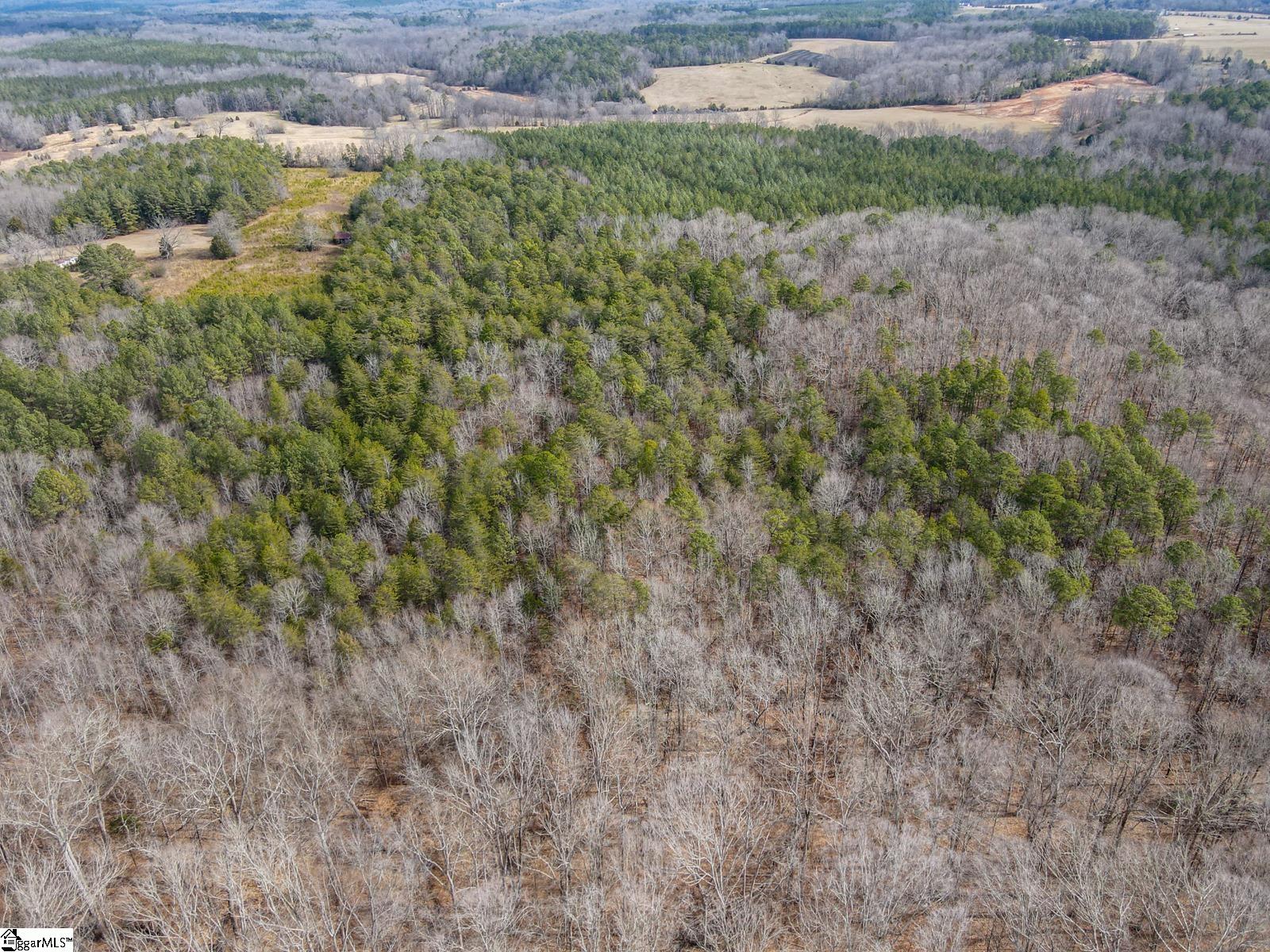 0 Porter Road Ware Shoals, SC 29692 - Photo 6 of 6