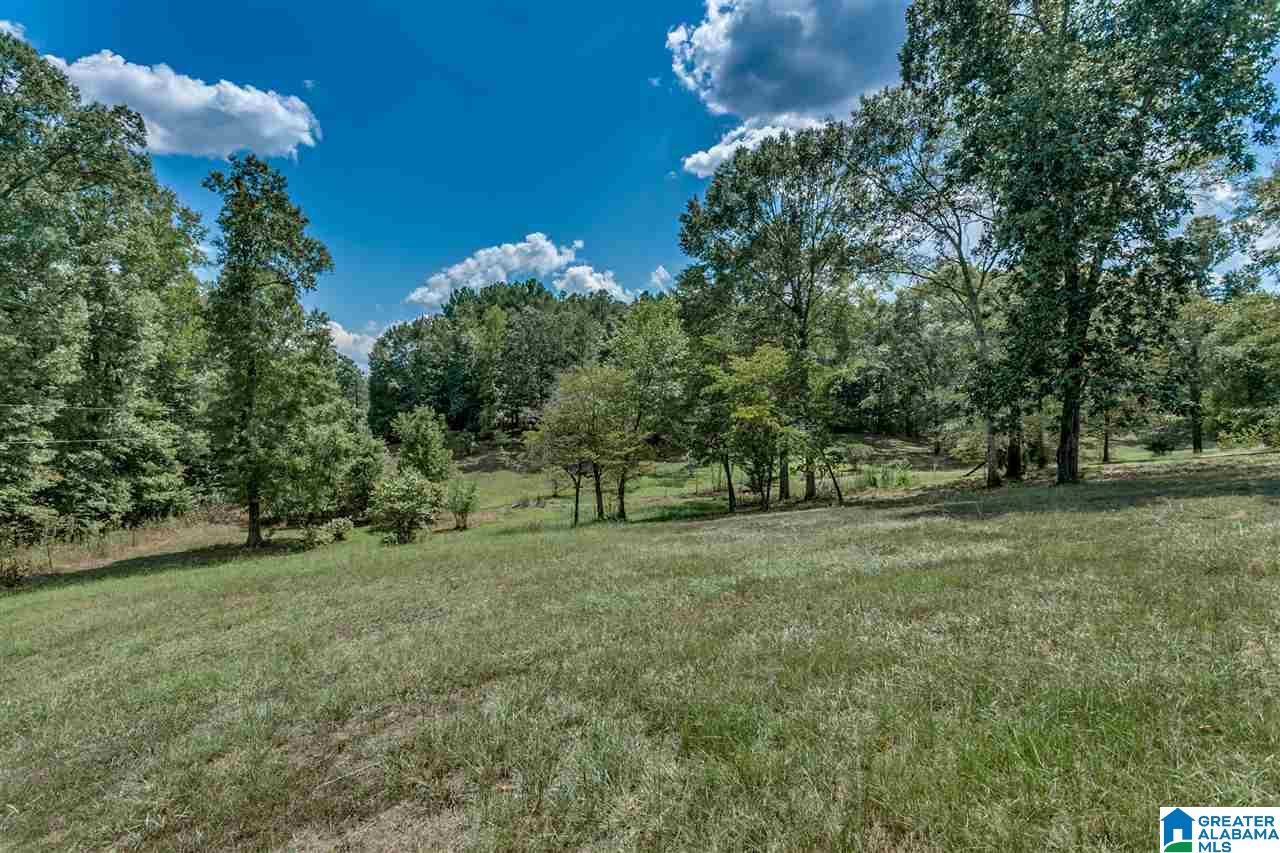 184 Jenkins Farm Road Helena, AL 35080 - Photo 18 of 25
