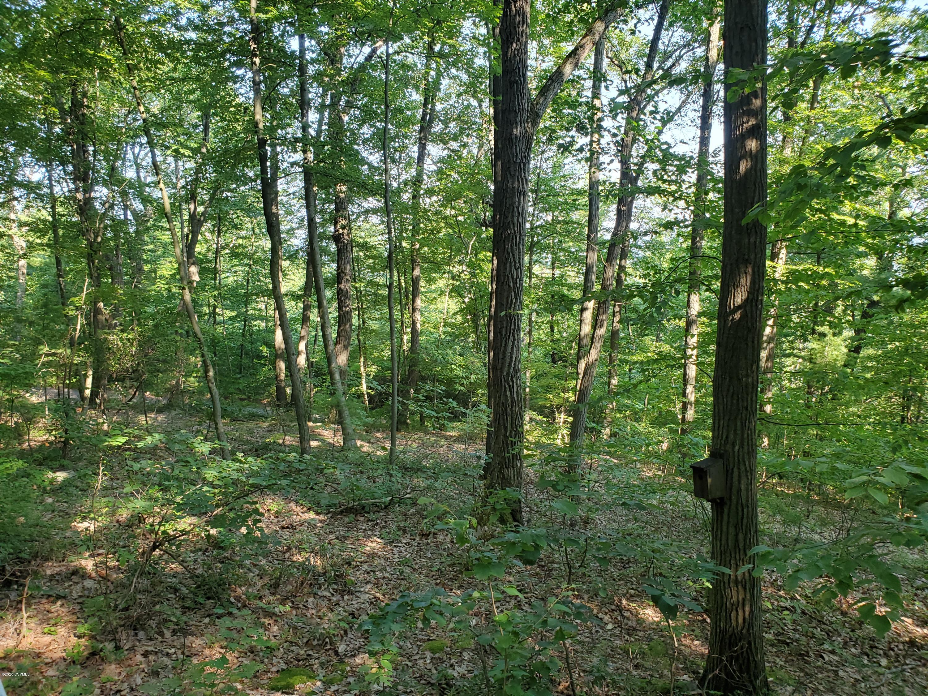 1705 Mountain Road Danville, PA 17821 - Photo 11 of 12 Gallery Image 11