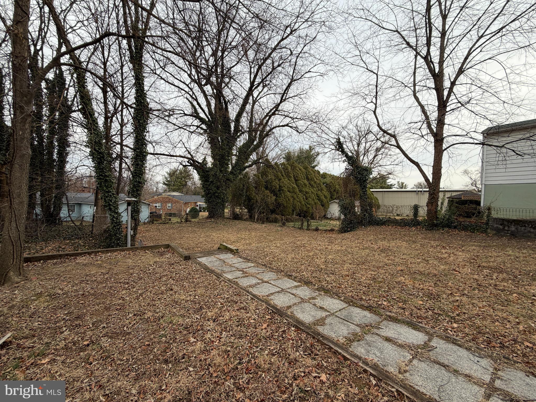1610 South Loudoun Street Winchester, VA 22601 - Photo 38 of 38 a view of a yard with trees