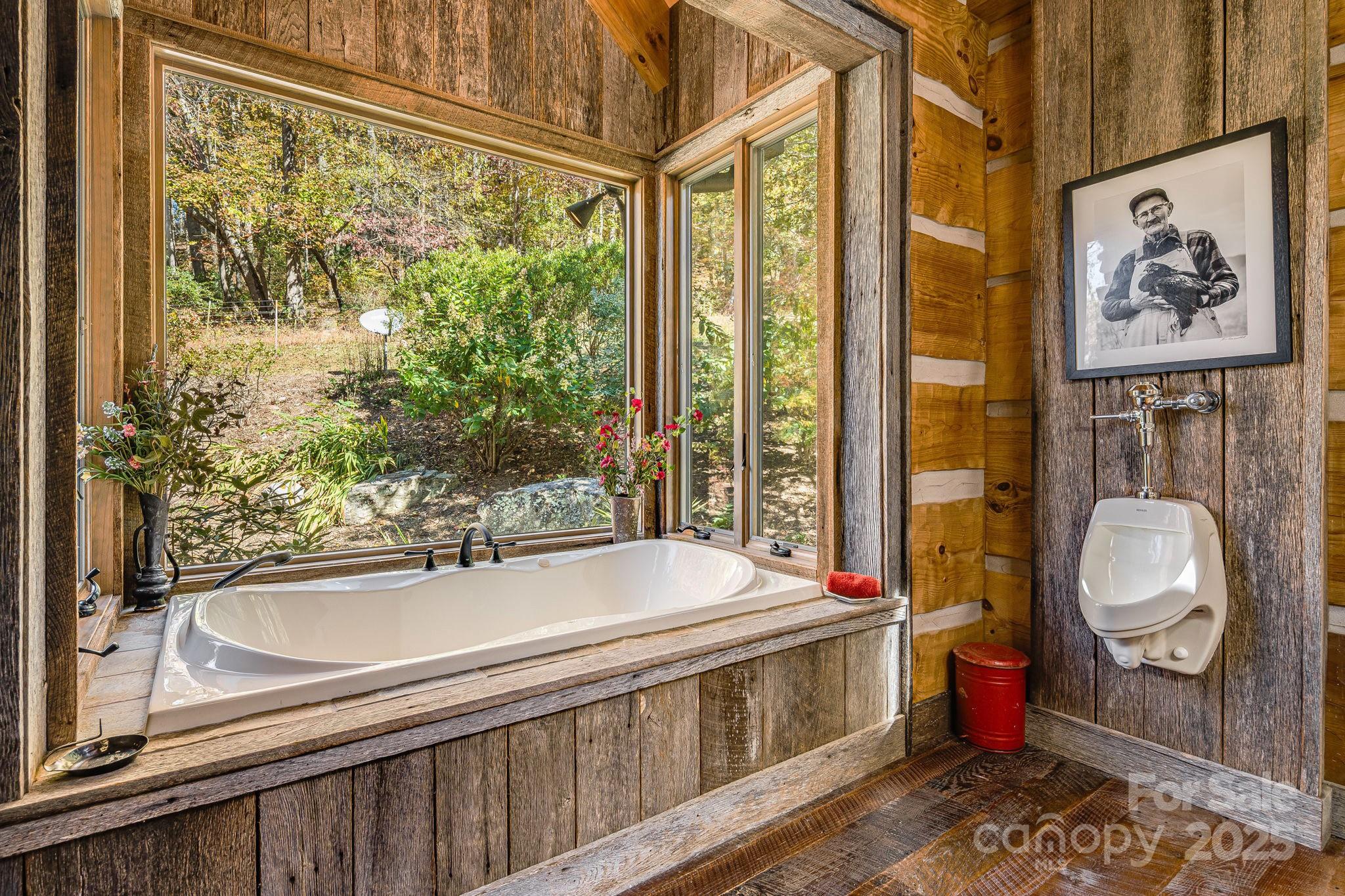 99 Thistle Ridge Canton, NC 28716 - Photo 19 of 48 a bathroom with a tub a sink and a window