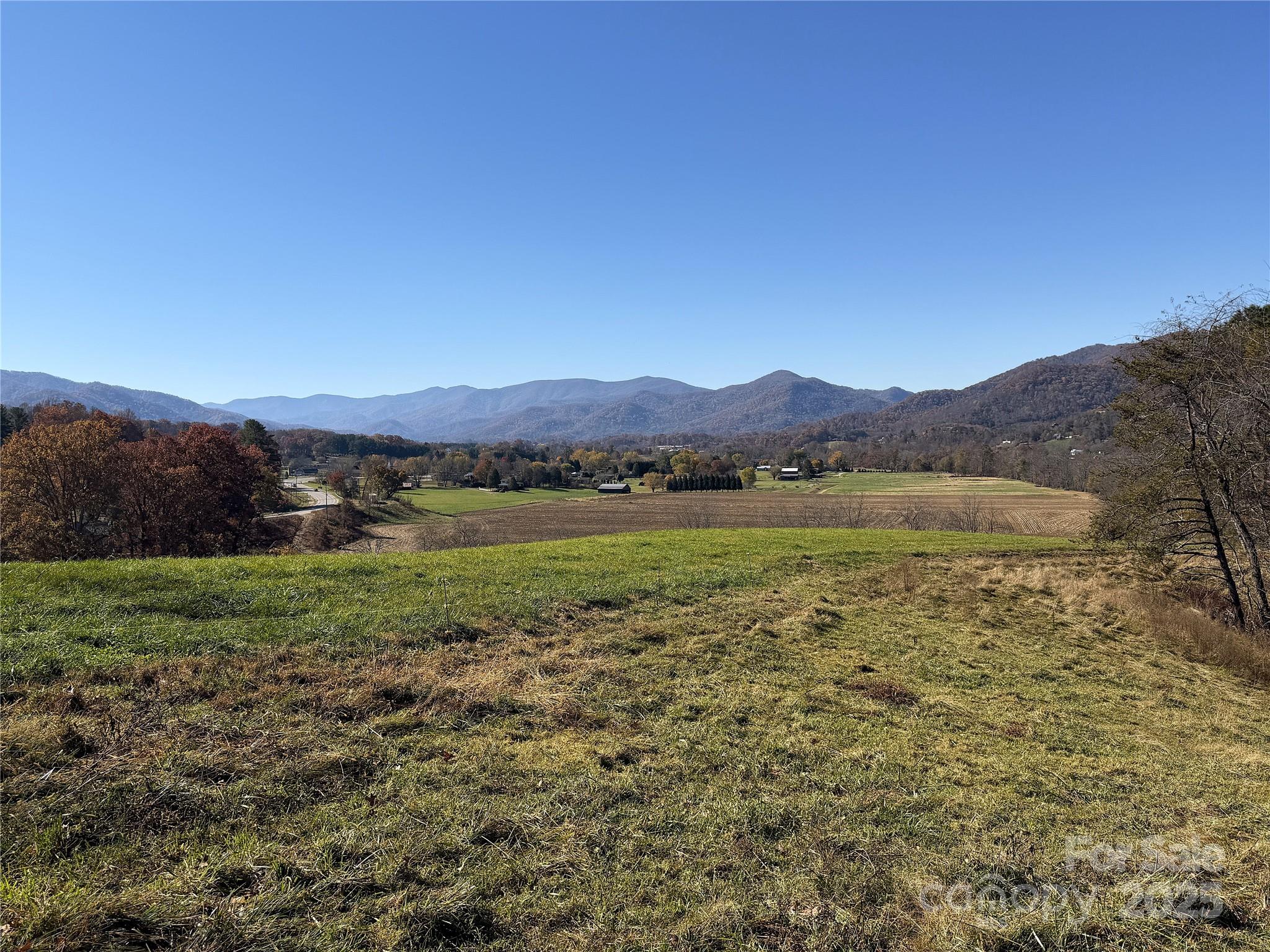 99 Thistle Ridge Canton, NC 28716 - Photo 6 of 48 a view of a lush green hillside and houses